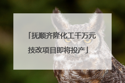 抚顺齐隆化工千万元技改项目即将投产