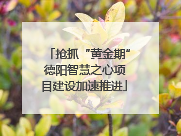 抢抓“黄金期” 德阳智慧之心项目建设加速推进
