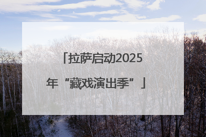 拉萨启动2025年“藏戏演出季”