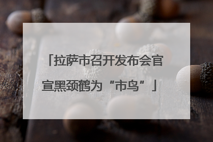 拉萨市召开发布会官宣黑颈鹤为“市鸟”