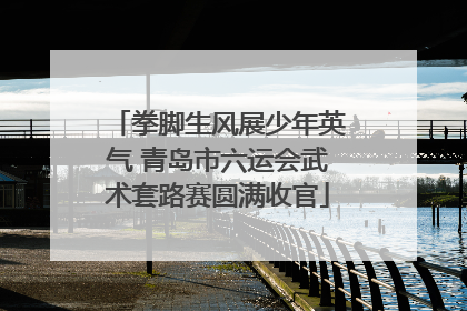 拳脚生风展少年英气 青岛市六运会武术套路赛圆满收官