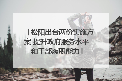 松阳出台两份实施方案 提升政府服务水平和干部履职能力