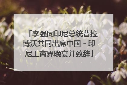 李强同印尼总统普拉博沃共同出席中国－印尼工商界晚宴并致辞
