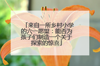 来自一所乡村小学的六一愿望：能否为孩子们制造一个关于探索的惊喜