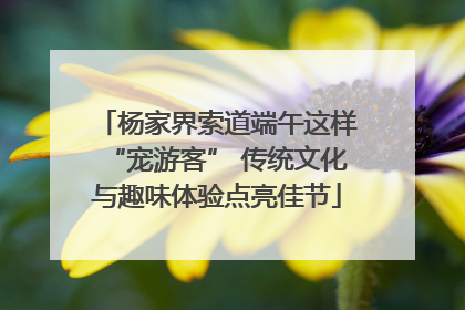 杨家界索道端午这样“宠游客” 传统文化与趣味体验点亮佳节