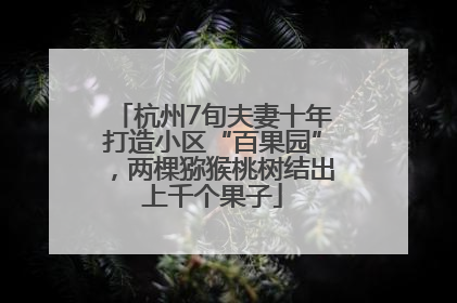 杭州7旬夫妻十年打造小区“百果园”，两棵猕猴桃树结出上千个果子