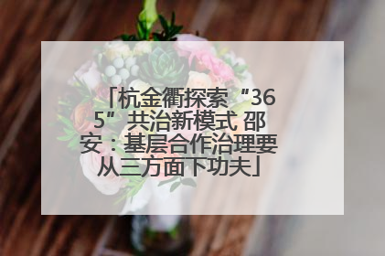 杭金衢探索“365”共治新模式 邵安：基层合作治理要从三方面下功夫