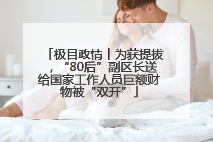 极目政情丨为获提拔，“80后”副区长送给国家工作人员巨额财物被“双开”