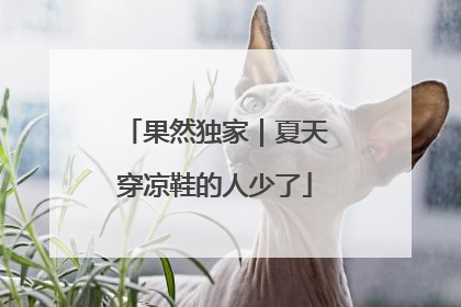 果然独家｜夏天穿凉鞋的人少了