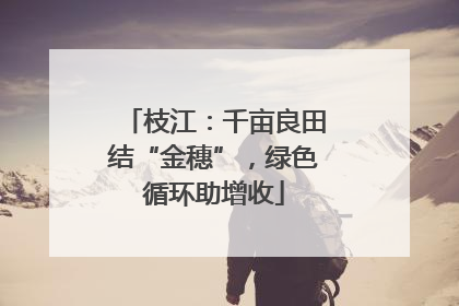 枝江：千亩良田结“金穗”，绿色循环助增收