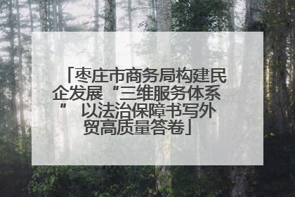 枣庄市商务局构建民企发展“三维服务体系” 以法治保障书写外贸高质量答卷