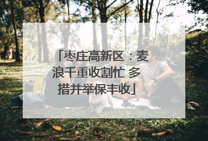 枣庄高新区：麦浪千重收割忙 多措并举保丰收