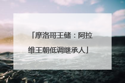 摩洛哥王储：阿拉维王朝低调继承人