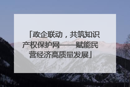政企联动，共筑知识产权保护网——赋能民营经济高质量发展