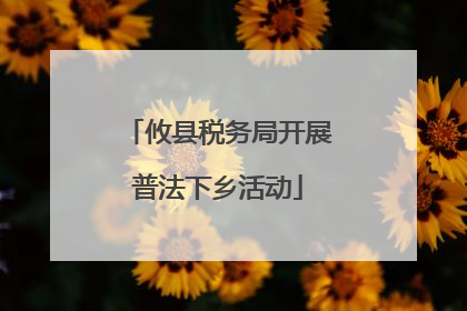 攸县税务局开展普法下乡活动