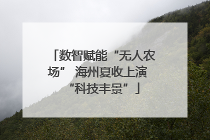 数智赋能“无人农场” 海州夏收上演“科技丰景”
