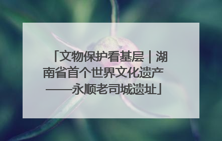 文物保护看基层｜湖南省首个世界文化遗产——永顺老司城遗址