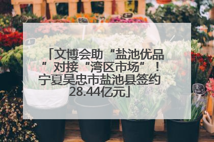 文博会助“盐池优品”对接“湾区市场”！宁夏吴忠市盐池县签约28.44亿元