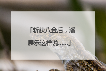 斩获八金后，潘展乐这样说……