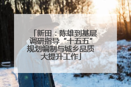 新田：陈雄到基层调研指导“十五五”规划编制与城乡品质大提升工作