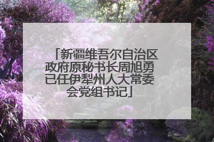 新疆维吾尔自治区政府原秘书长周旭勇已任伊犁州人大常委会党组书记