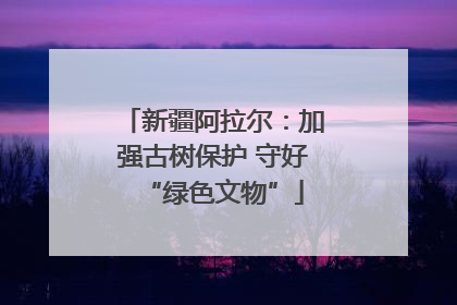 新疆阿拉尔：加强古树保护 守好“绿色文物”