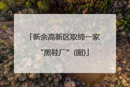 新余高新区取缔一家“黑鞋厂”(图)