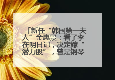 新任“韩国第一夫人”金惠景：看了李在明日记，决定嫁“潜力股”，曾是钢琴老师，一开始并不支持丈夫从政