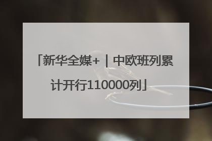 新华全媒+｜中欧班列累计开行110000列