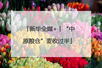 新华全媒+丨“中原粮仓”麦收过半