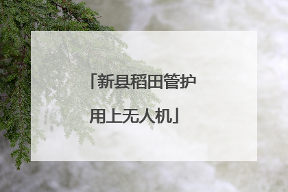 新县稻田管护用上无人机