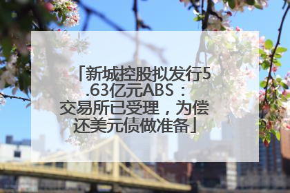 新城控股拟发行5.63亿元ABS：交易所已受理，为偿还美元债做准备