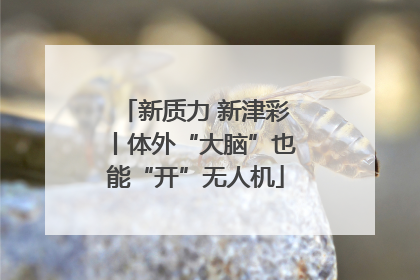 新质力 新津彩丨体外“大脑”也能“开”无人机