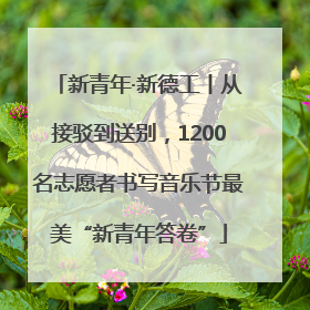 新青年·新德工丨从接驳到送别，1200名志愿者书写音乐节最美“新青年答卷”