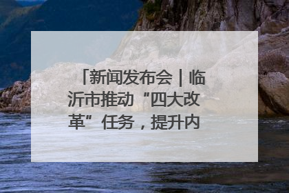 新闻发布会｜临沂市推动“四大改革”任务，提升内部审计监督效能