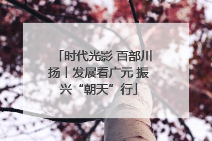 时代光影 百部川扬丨发展看广元 振兴“朝天”行