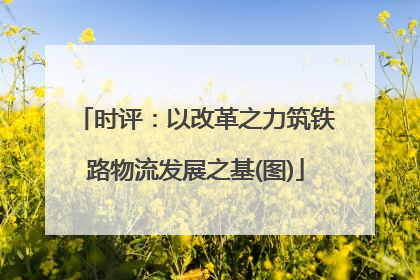 时评：以改革之力筑铁路物流发展之基(图)
