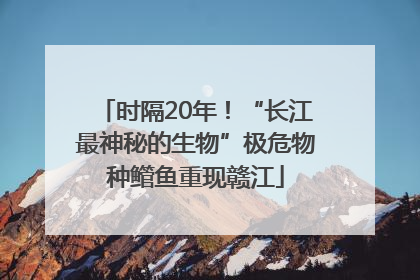 时隔20年！“长江最神秘的生物”极危物种鳤鱼重现赣江