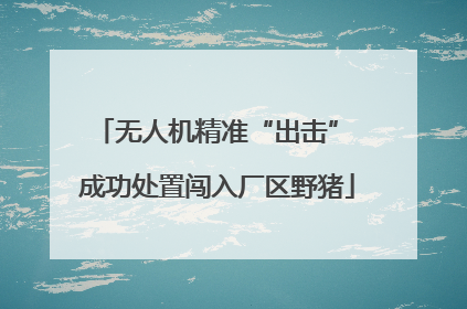 无人机精准“出击” 成功处置闯入厂区野猪