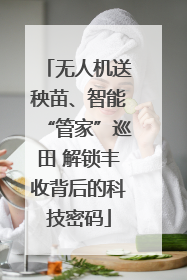 无人机送秧苗、智能“管家”巡田 解锁丰收背后的科技密码