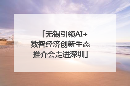 无锡引领AI+数智经济创新生态推介会走进深圳