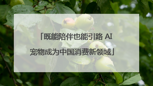 既能陪伴也能引路 AI宠物成为中国消费新领域