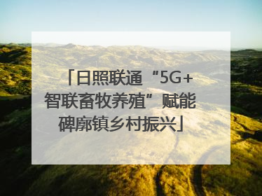 日照联通“5G+智联畜牧养殖”赋能碑廓镇乡村振兴