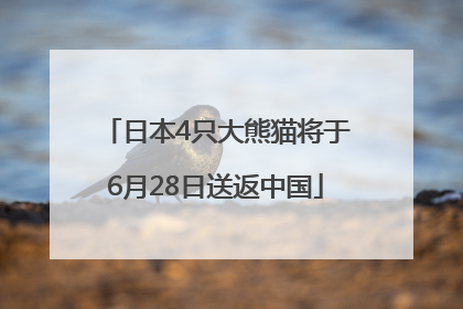 日本4只大熊猫将于6月28日送返中国