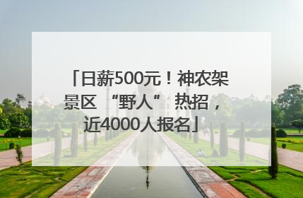 日薪500元！神农架景区 “野人” 热招，近4000人报名