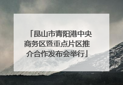 昆山市青阳港中央商务区暨重点片区推介合作发布会举行