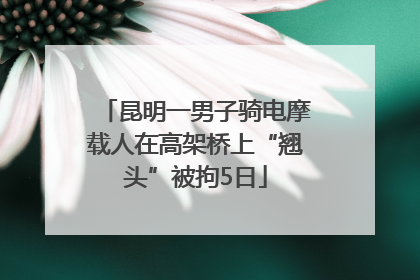 昆明一男子骑电摩载人在高架桥上“翘头”被拘5日