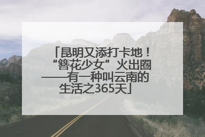 昆明又添打卡地！“簪花少女”火出圈——有一种叫云南的生活之365天
