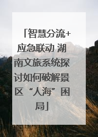 智慧分流+应急联动 湖南文旅系统探讨如何破解景区“人海”困局