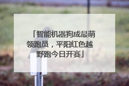 智能机器狗成最萌领跑员，平阳红色越野跑今日开赛